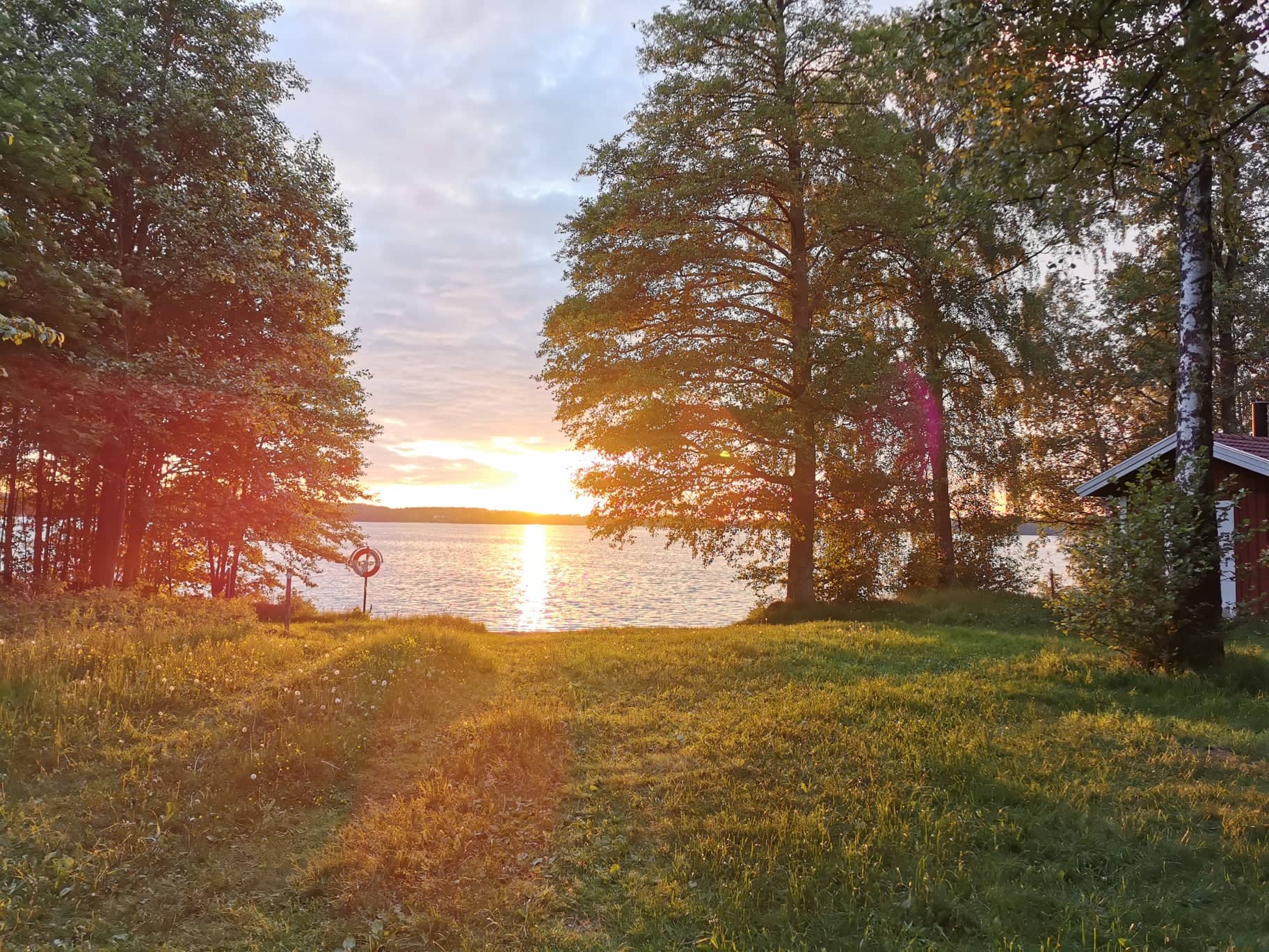 Trevlig sommar